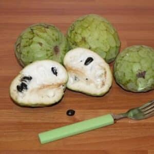 Annona cherimola - Détails d'un fruit