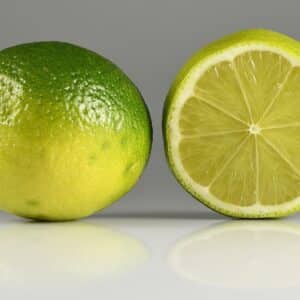 Citrus aurantifolia - Citron Galet - Lime