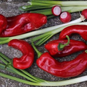 Poivrons et légumes