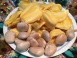 Jacquier - Artocarpus heterophyllus