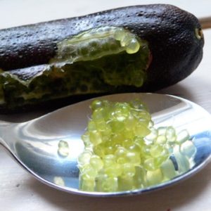 Citron Caviar - Microcitrus australasica
