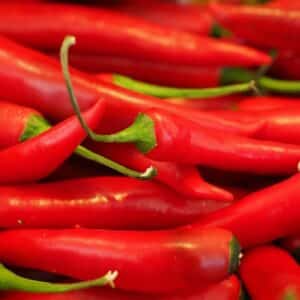 Piment oiseau, Semence de Capsicum frutescens, Graines de Piment oiseau, Graines de Capsicum frutescens