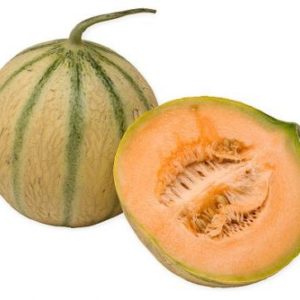 Melon Charentais