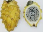 Selenicereus megalanthus, Fruit de Pitaya jaune, Graines de Pitaya jaune, Graines de Selenicereus megalanthus