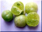 Citron Caviar - Citrus glauca, lime du desert