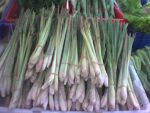 Graines de Citronnelle de Madagascar, Graines de Cymbopogon citratus