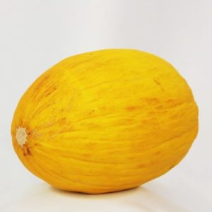 Melon Jaune Canari Hâtif - Cucumis melo L.