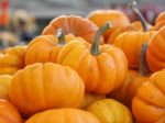 Courge Jack Be Little - Pomarine