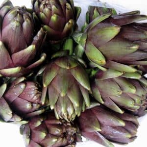 Artichaut Violet de Provence - Artichaut Violet Globe