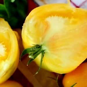 Graines de Tomate Cœur de bœuf blanche, Graines de Tomate Oxheart blanche