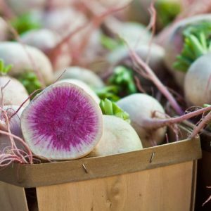 Raphanus sativus - Radis Rond Rouge Pastèque Hiver - Marché