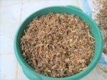 Racines râpées de voacanga africana, voacanga root bark chips