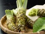 Racines de Wasabi, Eutrema japonicum