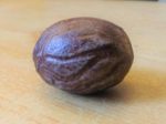 Détail d'une noix de Muscade, nutmeg