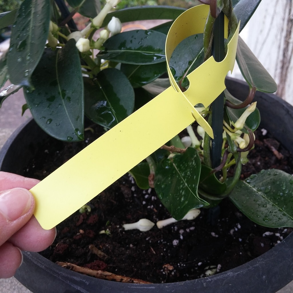 Étiquettes pratiques pour marquer vos semis, repiquages et plantes.