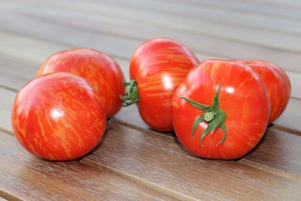 Tomate Red Zebra - Détail des fruits mûrs