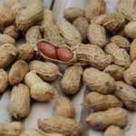 Arachis hypogea, cacahuètes des noisettes, Graines d'Arachis hypogea, Graines de cacahuète