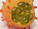 Graines Cucumis metuliferus, Graines Kiwano, Métulon