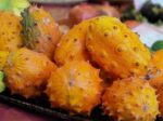 Graines Cucumis metuliferus , Graines Kiwano, Graines Métulon