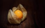 Physalis edulis - Fruit