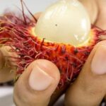 Ramboutan - Détails d'un fruit
