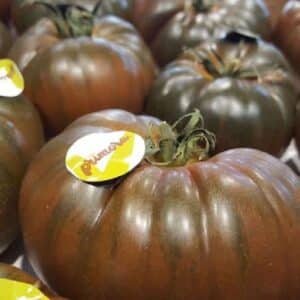 Tomate côtelée noire var. 'Primora' - Détail du fruit