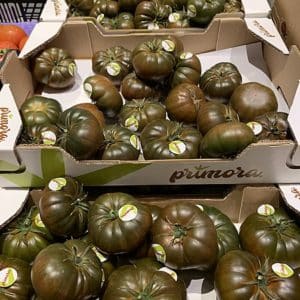 Tomate côtelée noire var. 'Primora' - Plateaux de tomates Primora