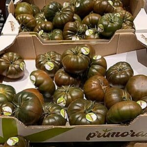 Tomate côtelée noire var. 'Primora' - Plateaux de tomates Primora
