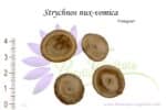 Graines de Strychnos nux-vomica, Semences de Strychnos nux-vomica ou Vomiquier