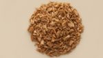 Santalum album - Bois blanc