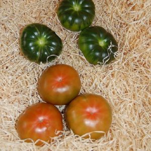 Tomate RAF Marmande - Fruits