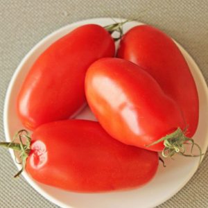 Tomate 'San Marzano' - Détails des fruits
