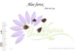 Graines d'Aloe ferox ou Aloès du Cap, Semences d'Aloe ferox