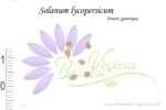 Graines de Solanum lycopersicum, Solanum lycopersicum seeds, Graines de tomate