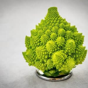 Chou romanesco - Vue générale