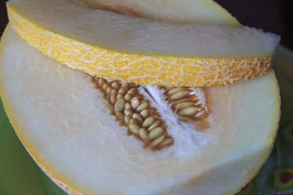 Melon ananas - Détails d'un fruit