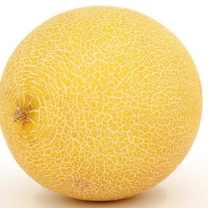 Melon ananas - Fruit