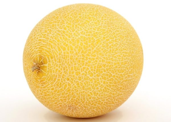 Melon ananas - Fruit