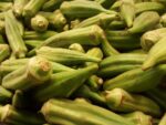 Fruits d'Abelmoschus esculentus, Récolte de Gombo ou Okra, Graines d'Abelmoschus esculentus, Graines de Gombo, Graines d'Okra