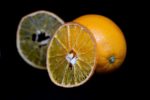 Citrus limonia 'Volkameriana' - Détail d'un fruit
