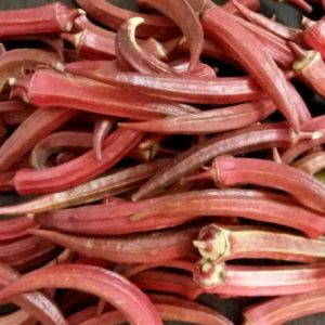 Okra rouge - Récolte