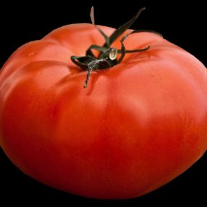 Tomate 'Supersteack géant' - Fruit