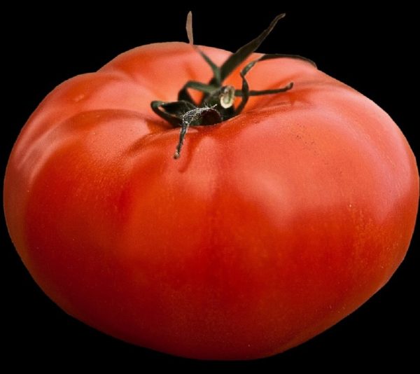 Tomate 'Supersteack géant' - Fruit