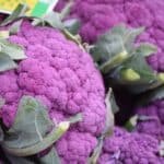 Graines de Chou-fleur violet de Sicile, Graines de Brassica oleracea var. botrytis L.
