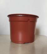 Pot thermoformé terracotta - Vue générale