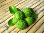 Combavas, Cumbawas, Citrus hystrix, fruits de Citrus hystrix, Graines de Citrus hystrix