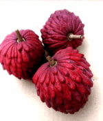 Annona x atermoya 'Red Israël' - Fruits