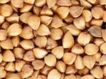 Fagopyrum esculentum Moench - Graines grillées