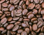 Coffea Arabica - Grains de café