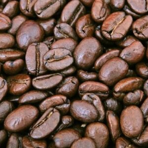 Coffea Arabica - Grains de café
